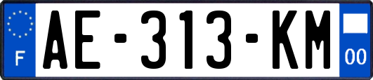 AE-313-KM
