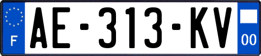 AE-313-KV