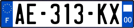 AE-313-KX