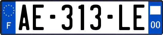 AE-313-LE