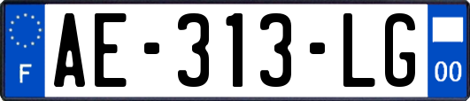 AE-313-LG
