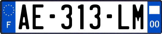 AE-313-LM