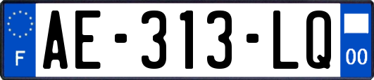 AE-313-LQ
