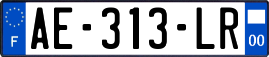 AE-313-LR