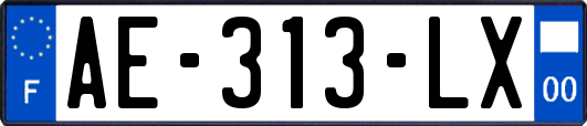 AE-313-LX