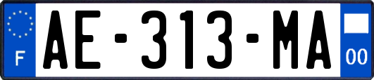 AE-313-MA