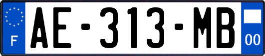 AE-313-MB