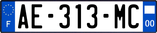 AE-313-MC