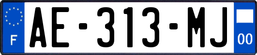 AE-313-MJ