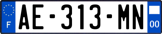 AE-313-MN