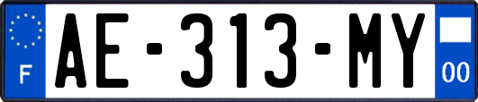 AE-313-MY