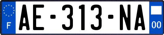 AE-313-NA