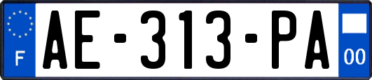 AE-313-PA