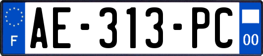 AE-313-PC
