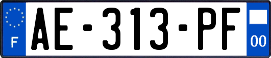 AE-313-PF