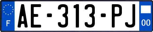 AE-313-PJ