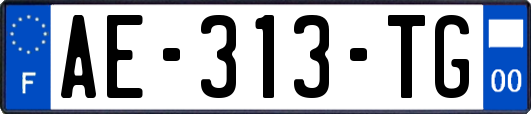 AE-313-TG