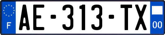 AE-313-TX