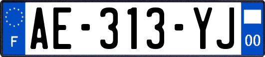 AE-313-YJ