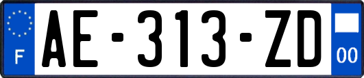 AE-313-ZD