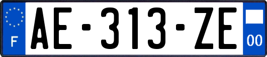 AE-313-ZE