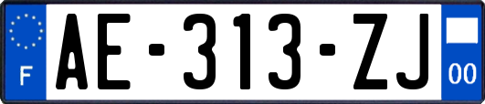 AE-313-ZJ