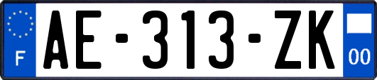 AE-313-ZK