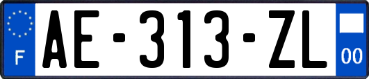 AE-313-ZL