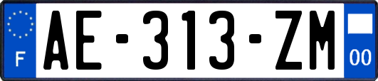 AE-313-ZM