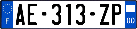 AE-313-ZP