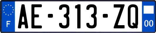 AE-313-ZQ