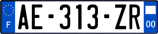 AE-313-ZR