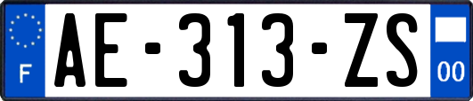 AE-313-ZS