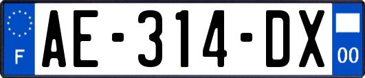 AE-314-DX