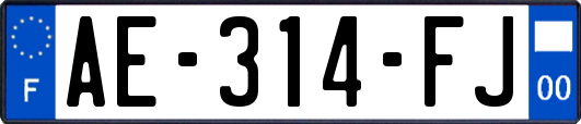 AE-314-FJ