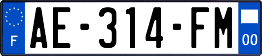 AE-314-FM