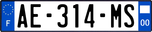 AE-314-MS