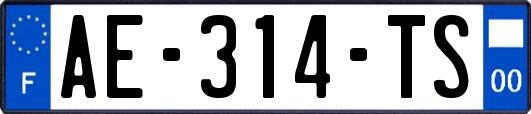 AE-314-TS