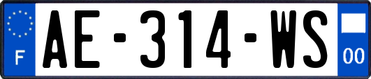 AE-314-WS