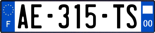 AE-315-TS