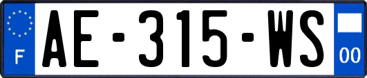 AE-315-WS