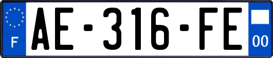 AE-316-FE