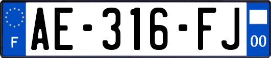 AE-316-FJ