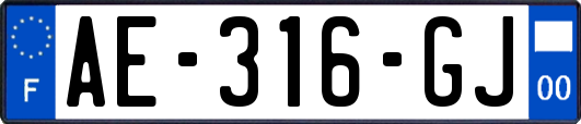 AE-316-GJ