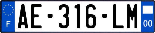 AE-316-LM