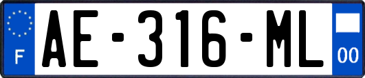 AE-316-ML