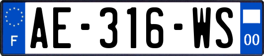 AE-316-WS