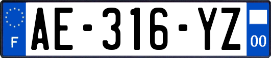 AE-316-YZ