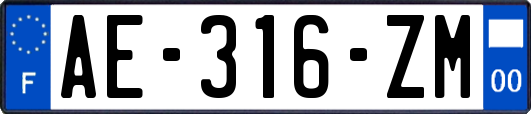 AE-316-ZM