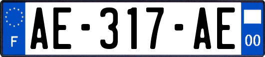 AE-317-AE